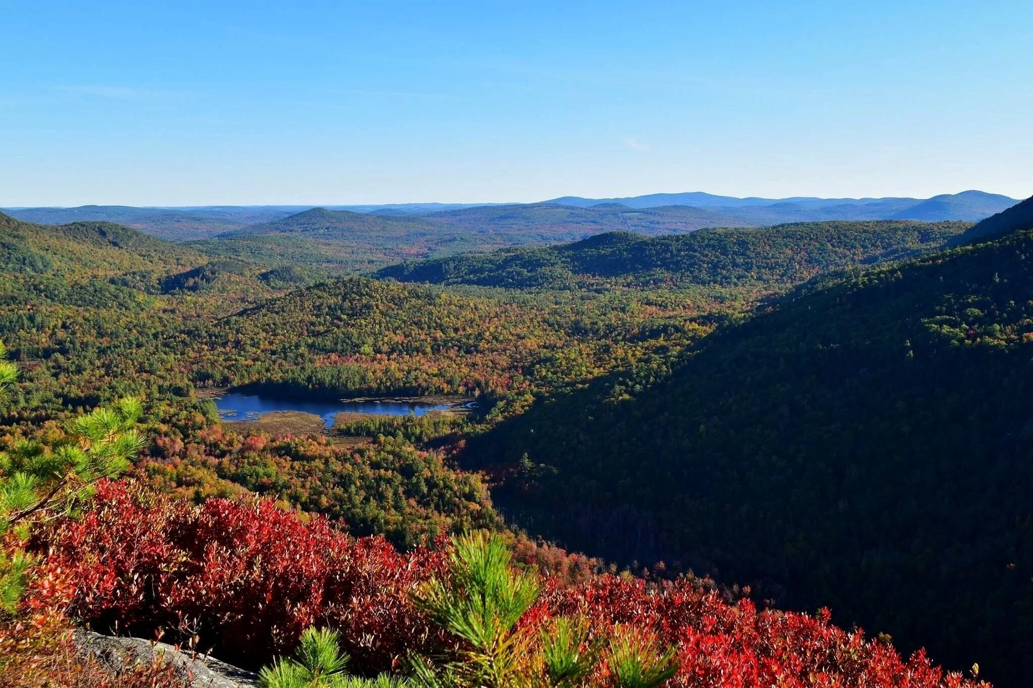 Pest control services in Peru Maine