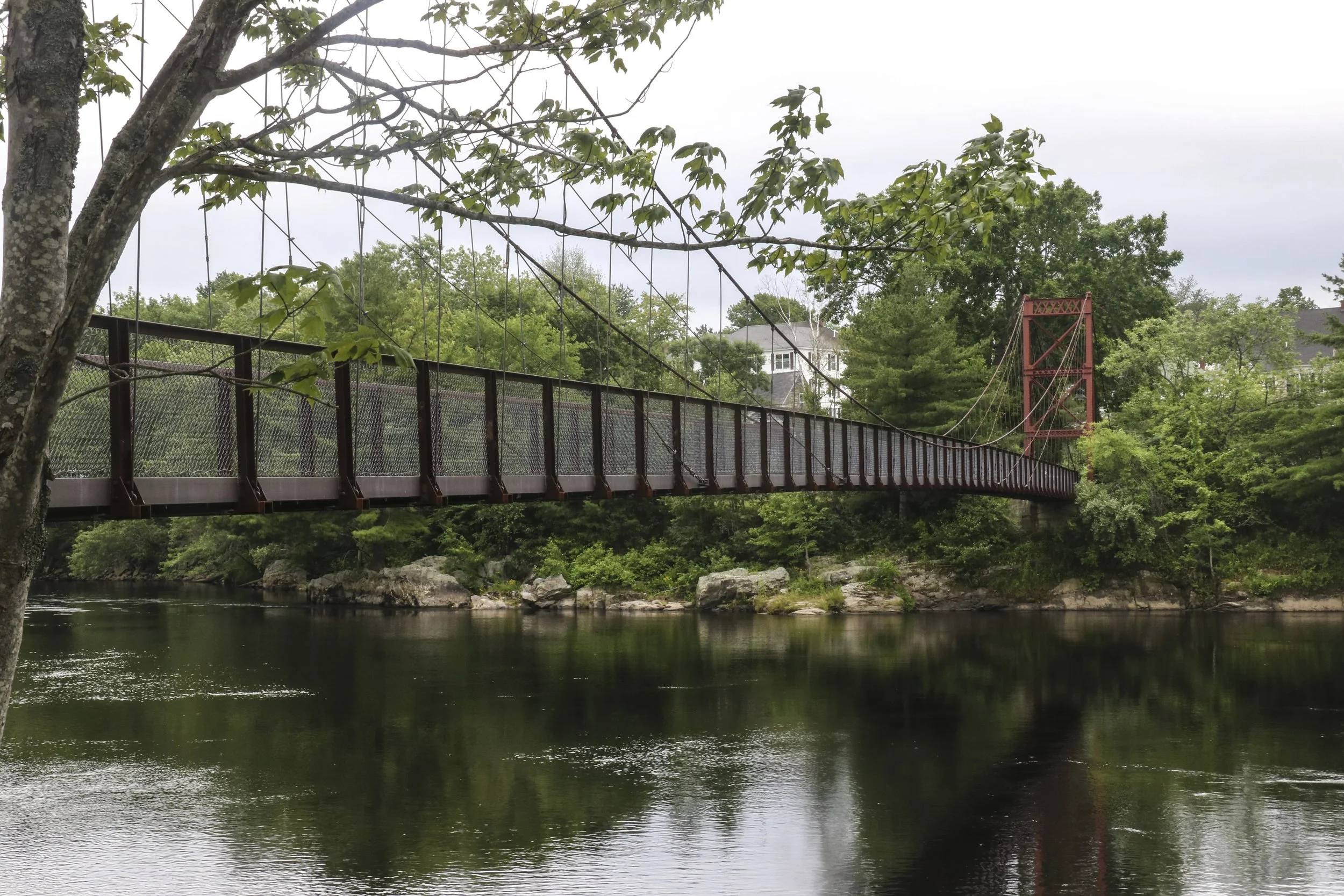 Blouin Pest Services providing pest control in Topsham, Maine