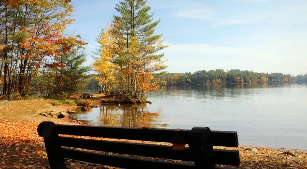 Pest control services in Norway Maine