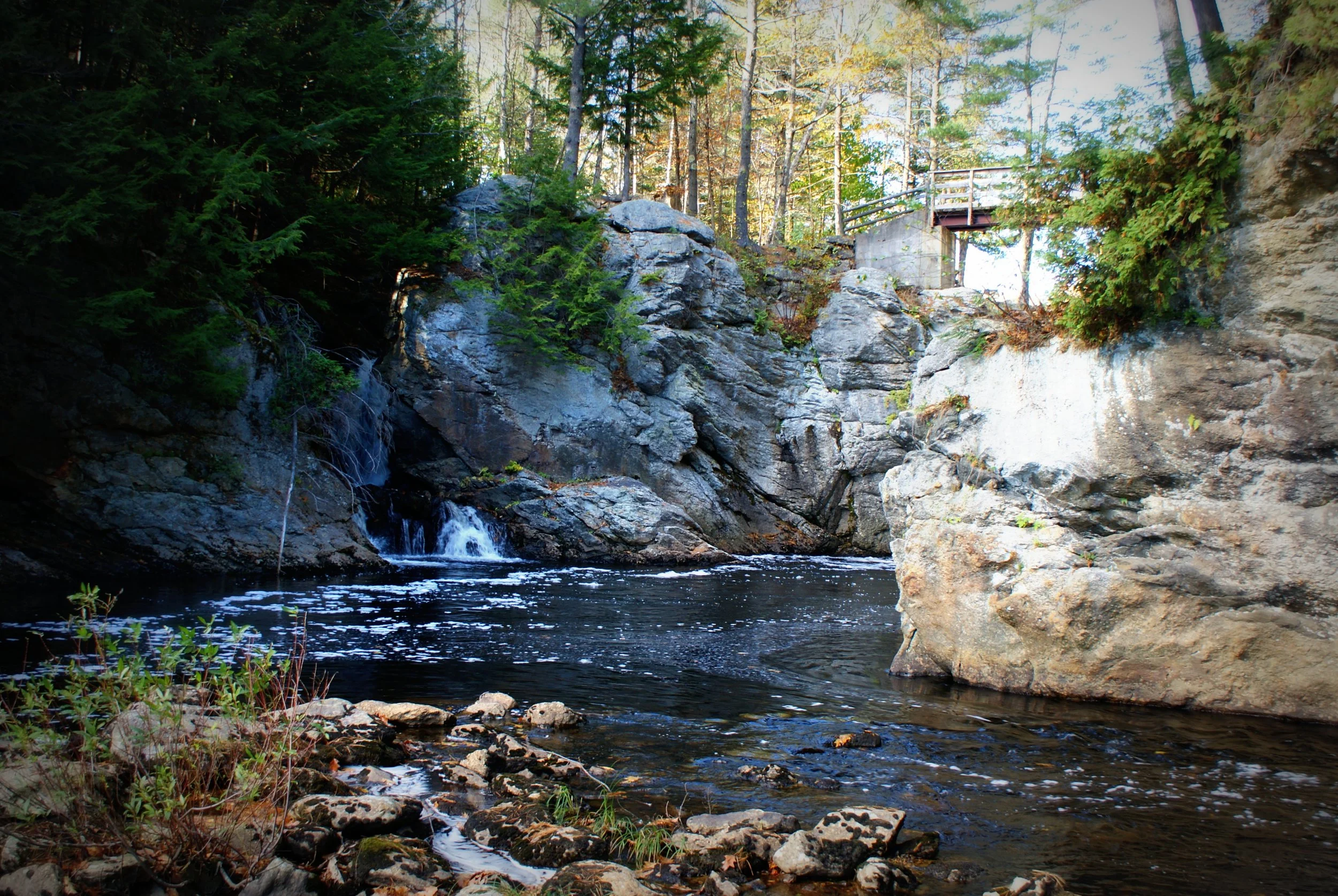 Pest control services in West Paris Maine