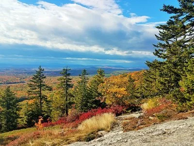 Pest control services in Sumner Maine