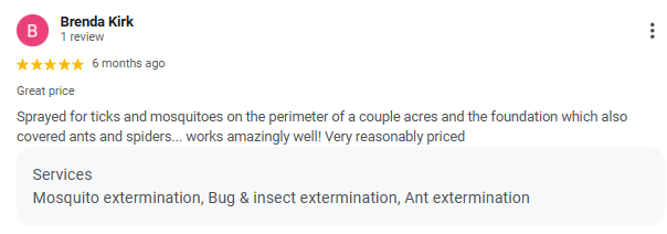 Screenshot of a review by Brenda Kirk, rated 5 stars, praising pest control services for tick and mosquito extermination, ant, and insect extermination.