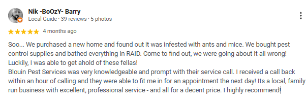 Screenshot of a Google review for a pest control service, praising the company's knowledge and service.