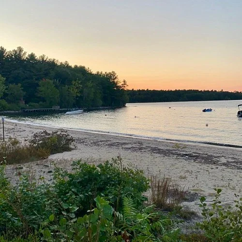 Pest control services in Standish Maine