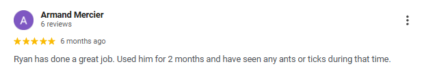 Screenshot of a Google review for Armand Mercier, praising his work with a 5-star rating.