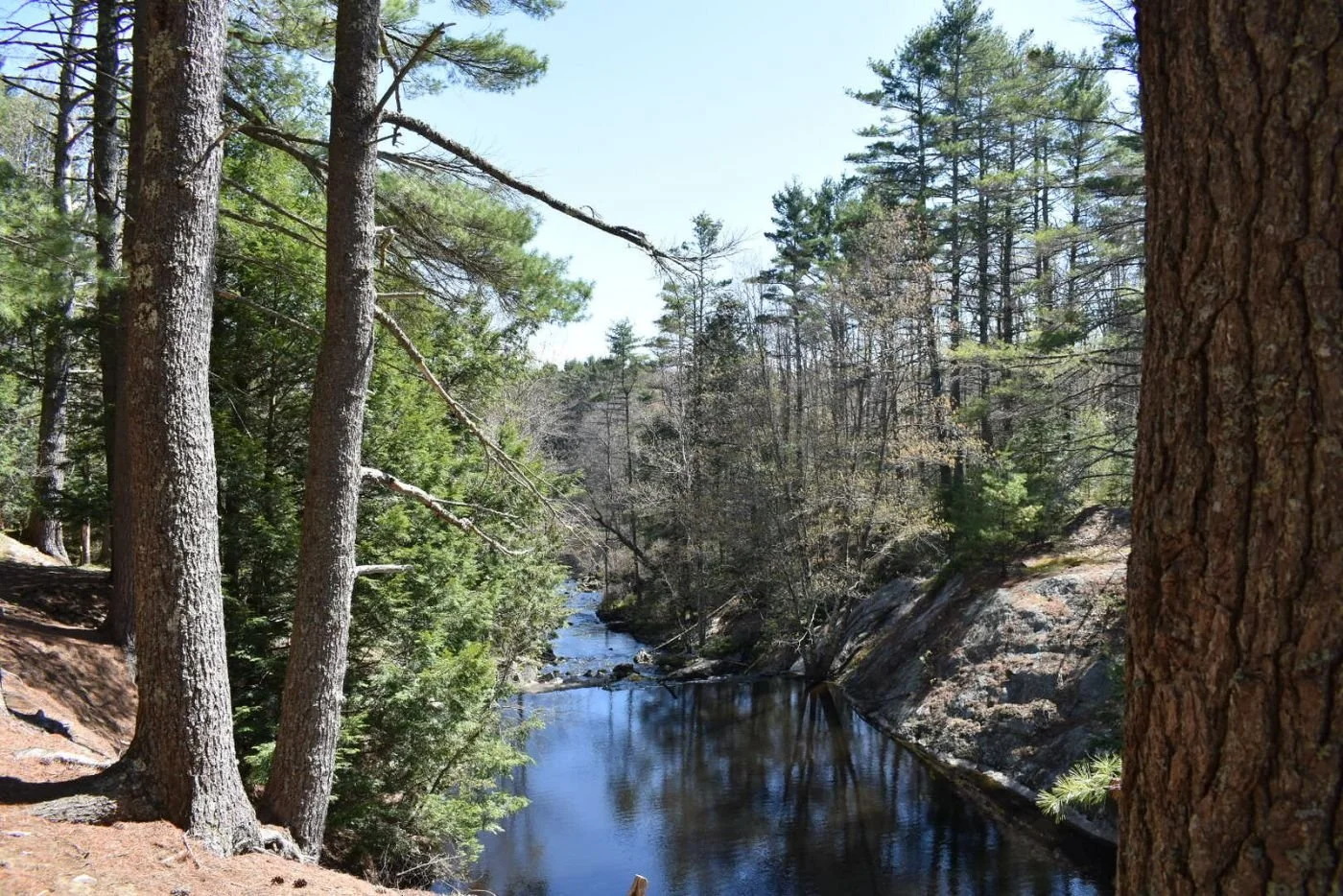 Scenic photo from Durham Maine