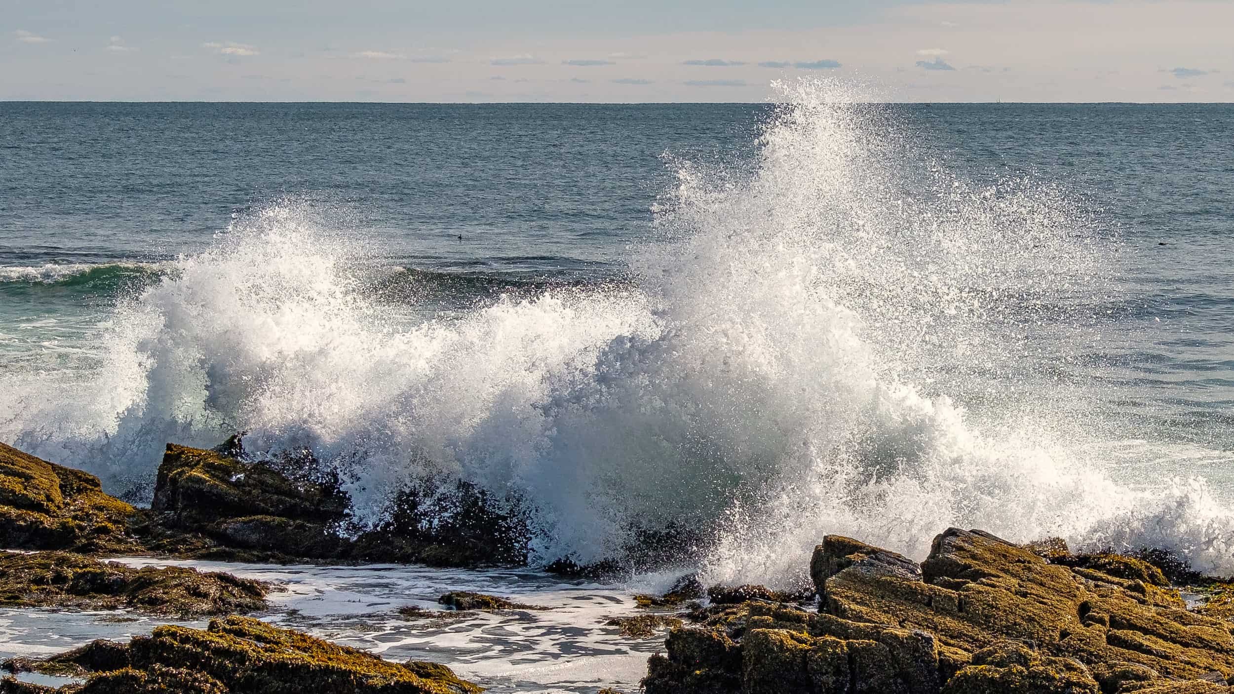 Pest control services in Winslow Maine