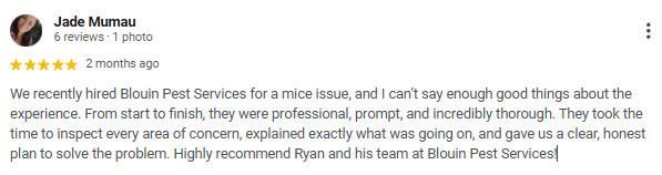 Screenshot of a Google review for Blouin Pest Services praising their professionalism and thoroughness.