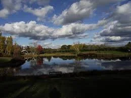 Blouin Pest Services providing pest control in Lyman, Maine