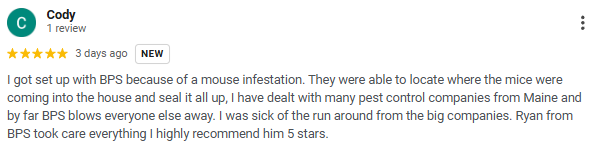 Screenshot of a Google review about pest control services with five-star rating.