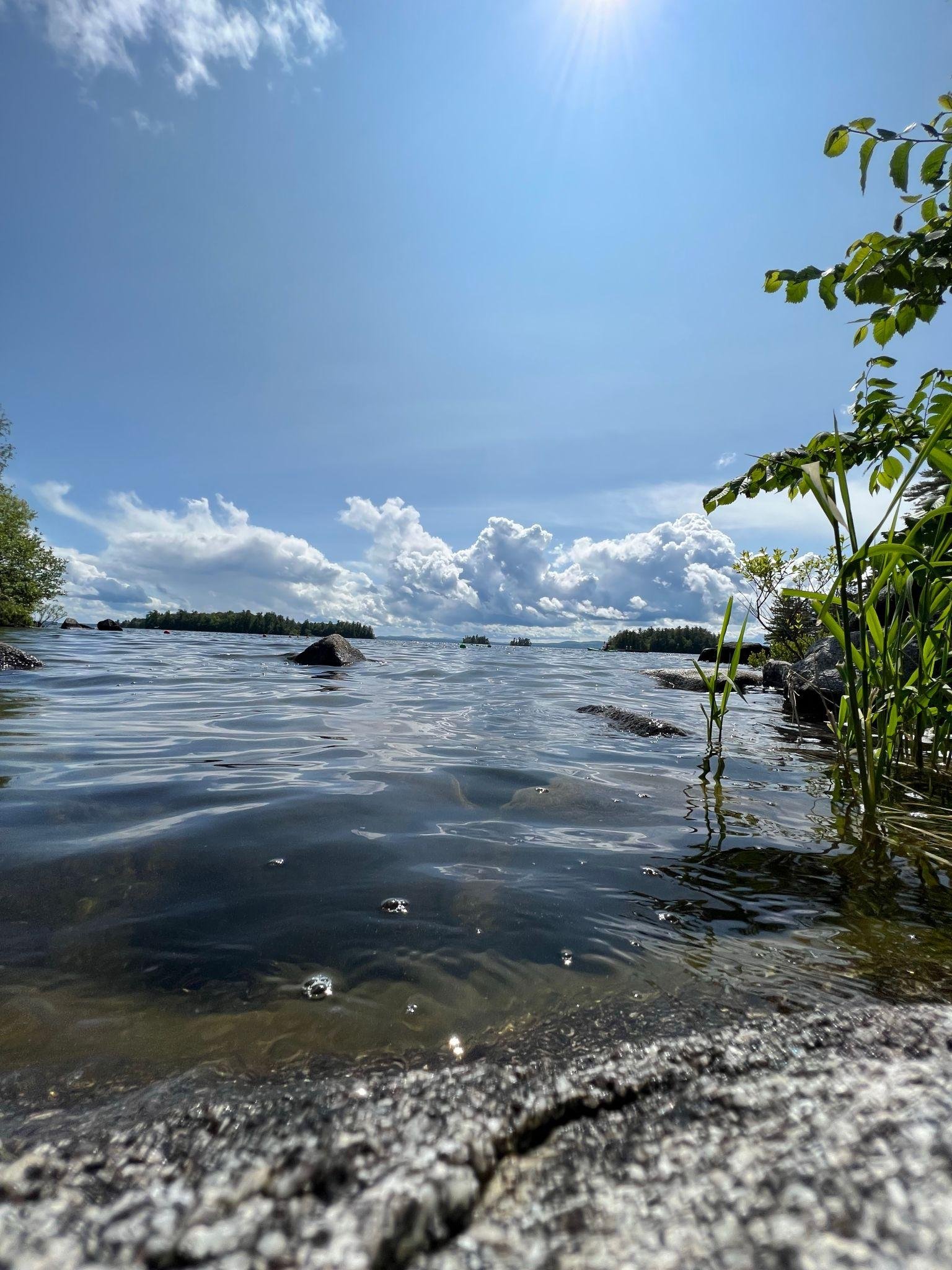 Pest control services in Windham Maine