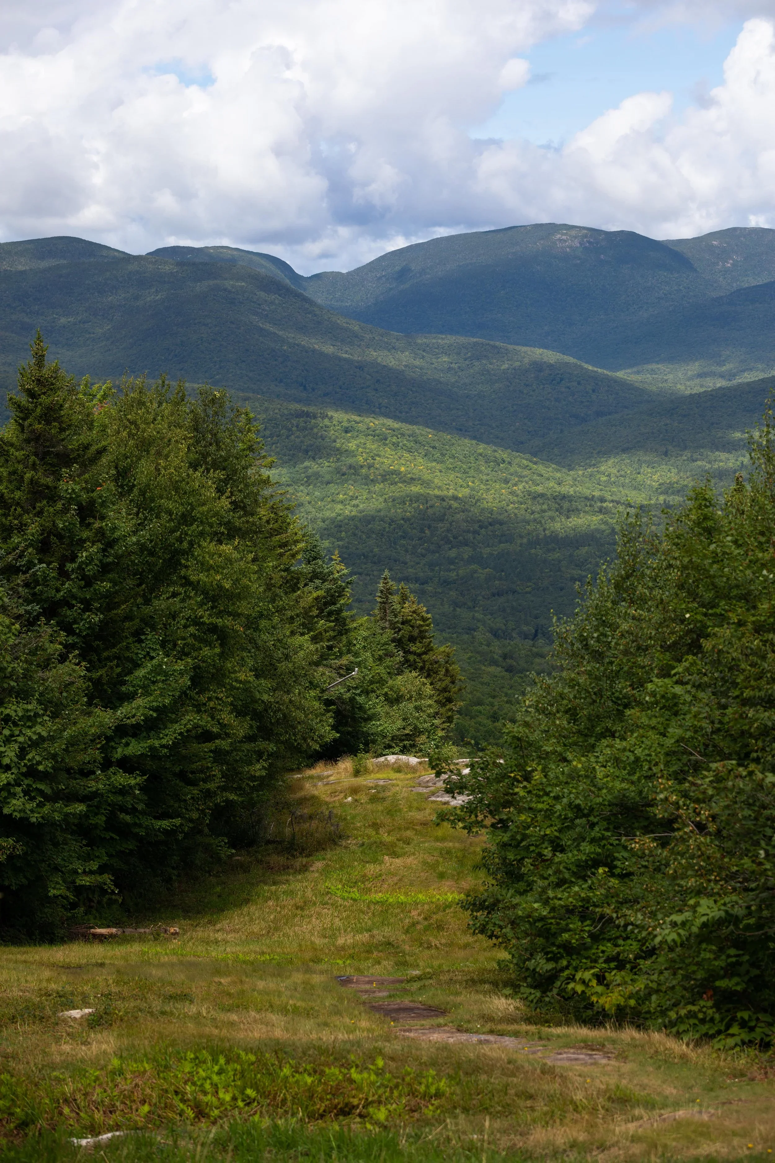 Pest control services in Bethel Maine