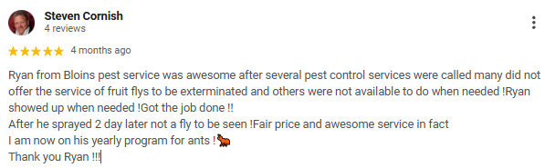 Screenshot of a five-star review on a mobile device from Steven Cornish about Ryan from Bloins pest service, praising his pest control and ant extermination services.