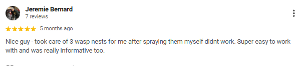 Screenshot of a 5-star review by Jeremie Bernard praising a pest control service for wasp nests.