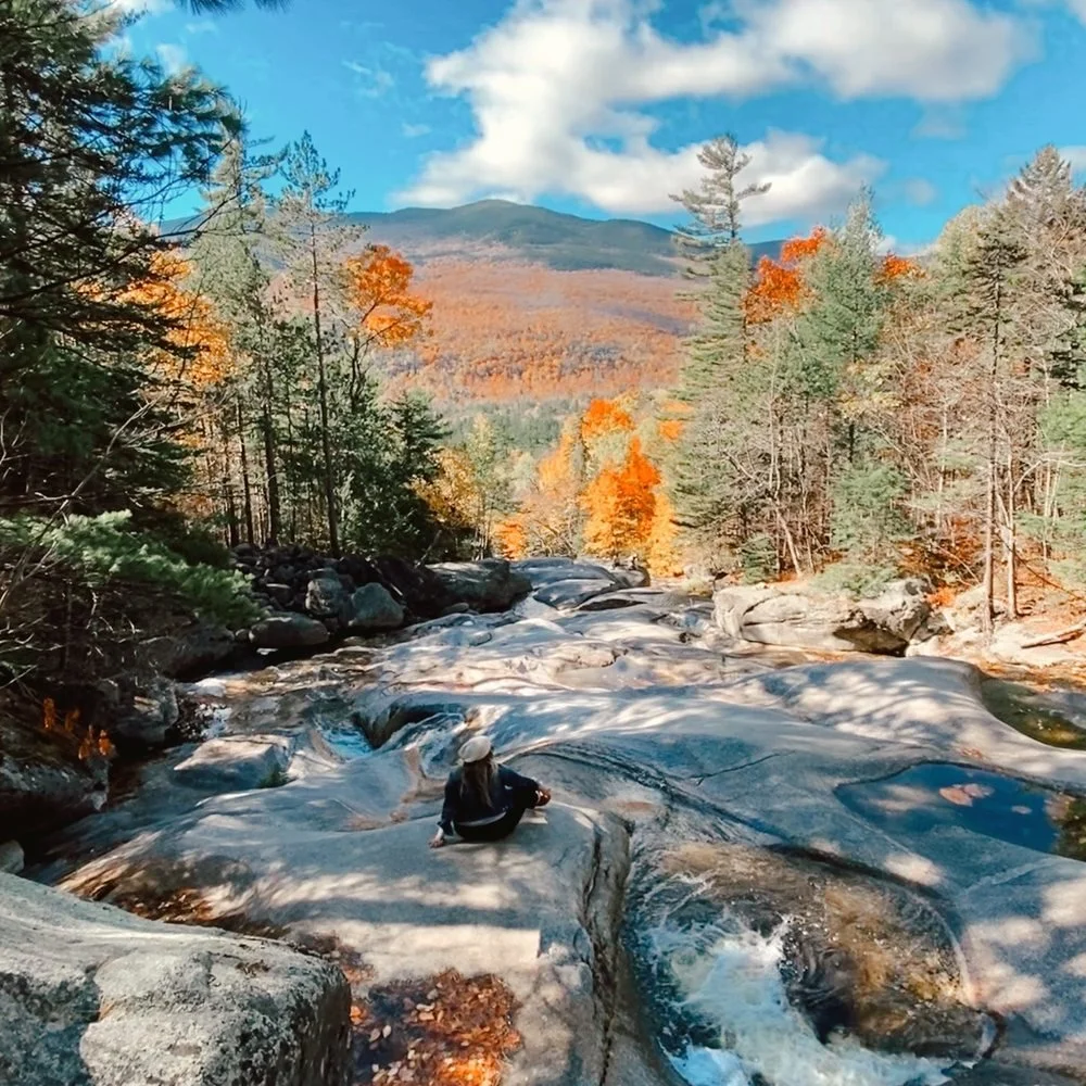 Pest control services in Greenwood Maine