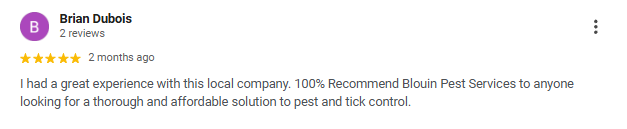 Screenshot of a customer review for Blouin Pest Services with five stars and positive feedback.