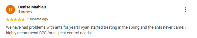 Customer review from Denise Mathieu recommending pest control for ants, mentioning Ryan's treatment and effective results.