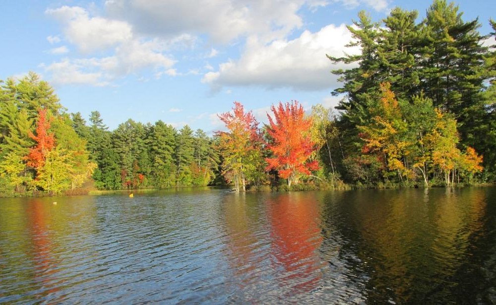 Blouin Pest Services providing pest control in Waterboro, Maine