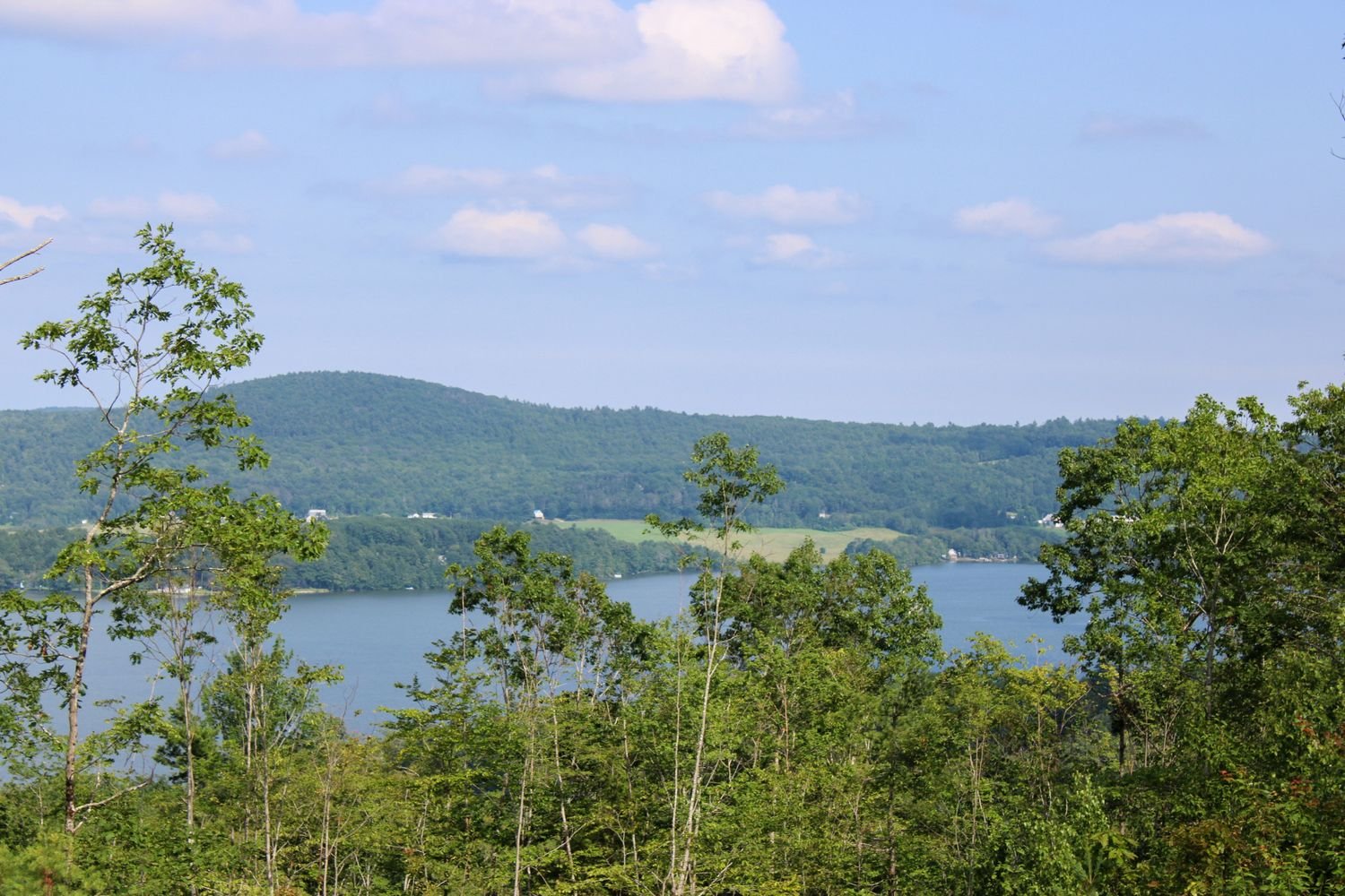 Pest control services in Sabattus Maine