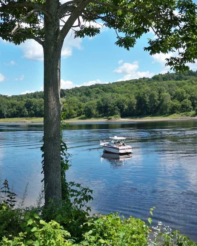 Pest control services in Kennebec County Maine