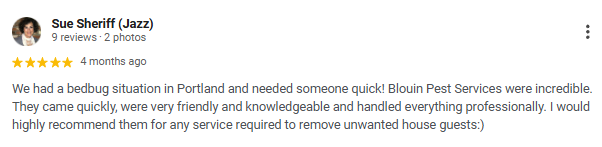 Screenshot of a Yelp review by Sue Sheriff (Jazz) praising Blouin Pest Services for quick, friendly, and professional service in Portland.
