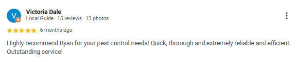 Screenshot of a Google review for Victoria Dale, a local pest control service, showing 15 reviews, 13 photos, five-star rating, and a positive customer comment.