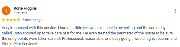 Screenshot of a 5-star review from Korie Higgins praising Ryan for helping with a yellow jacket nest, describing Ryan's professional and caring service.