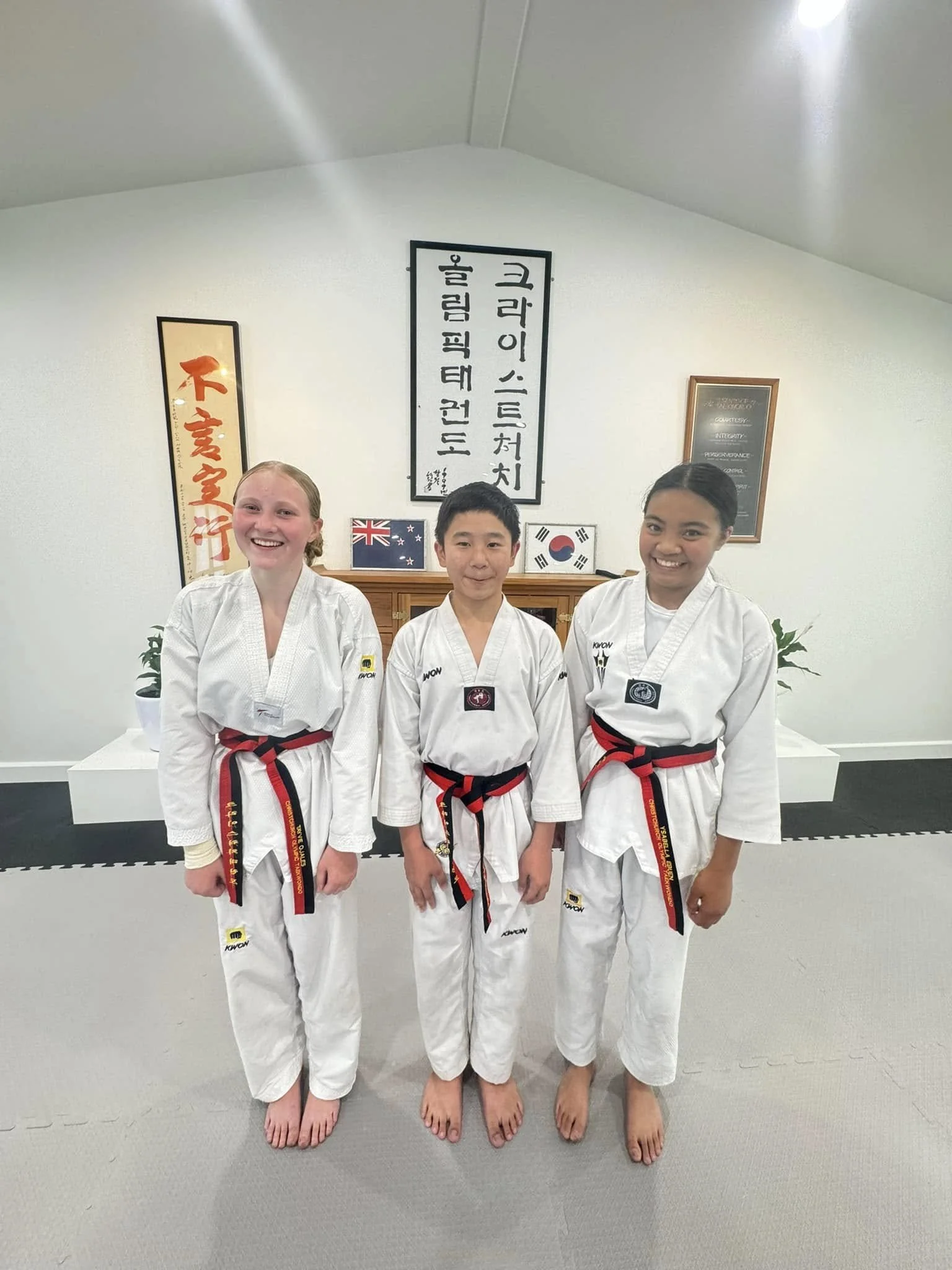 AB Olympic Taekwondo TKD Academy Chch Junior Class Age 10 - 14