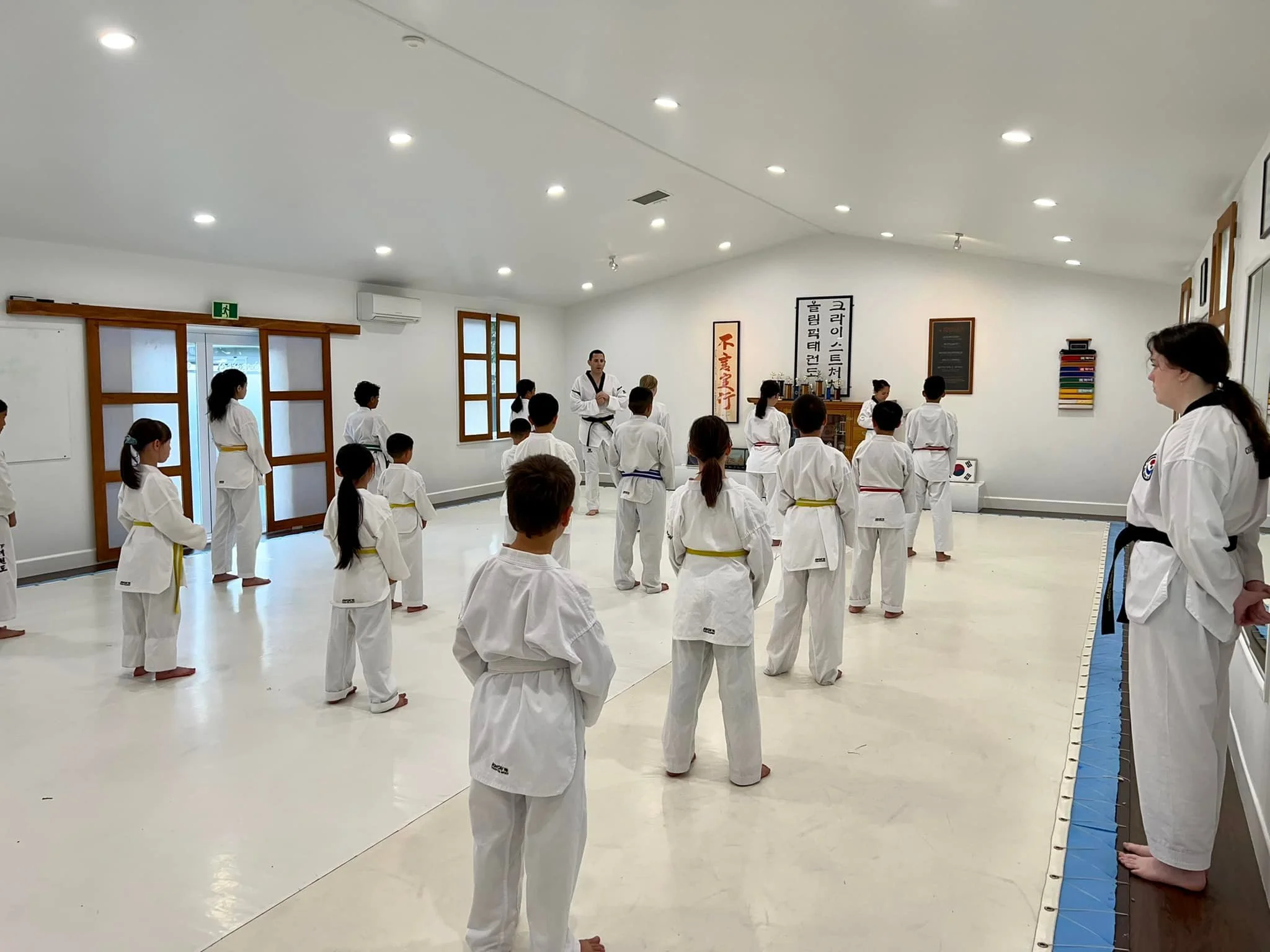 AB Olympic Taekwondo TKD Academy Chch Cadet Class Age 6 - 10