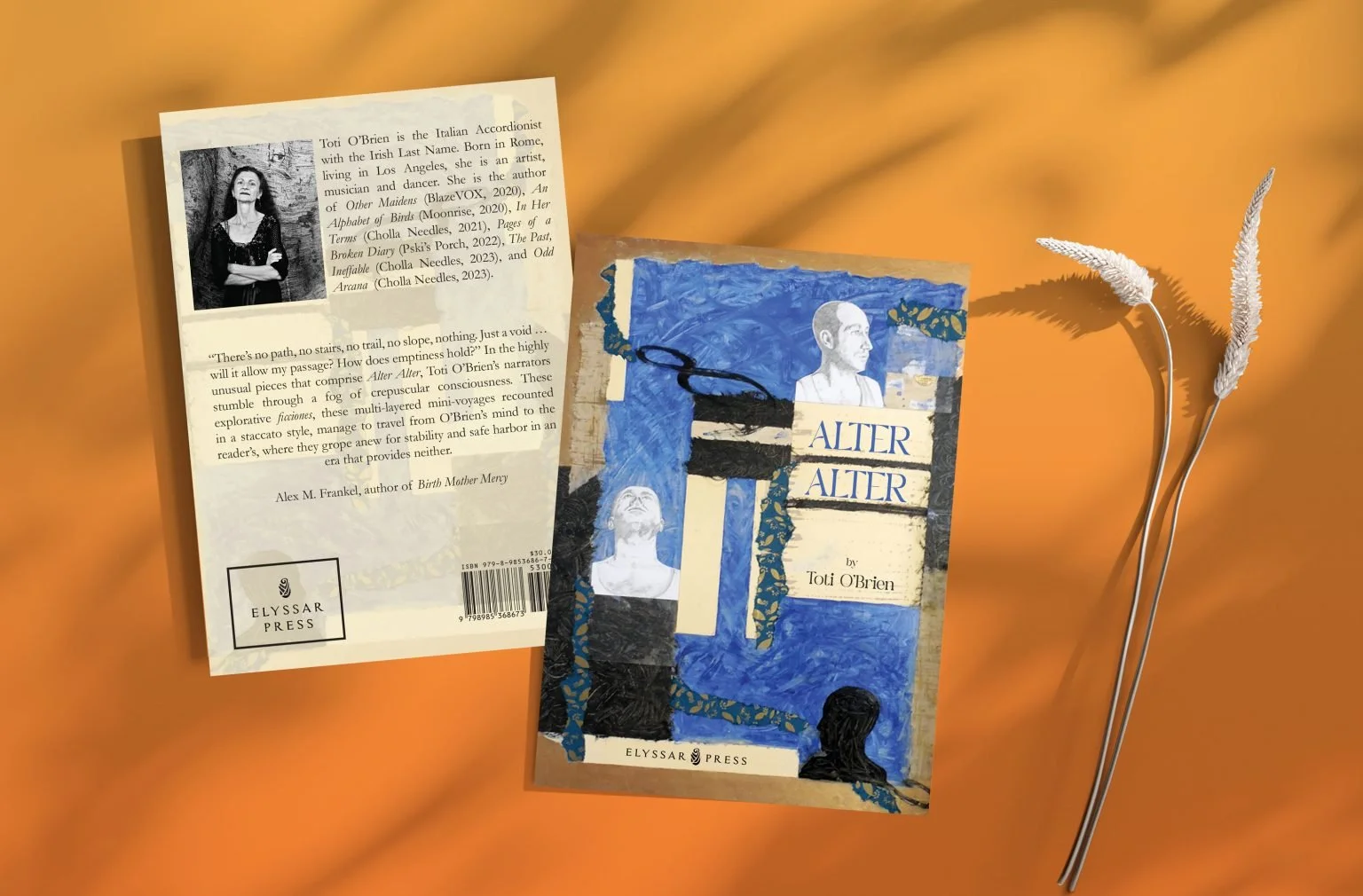 Review of Toti O’Brien’s Alter Alter by Katerina Canyon