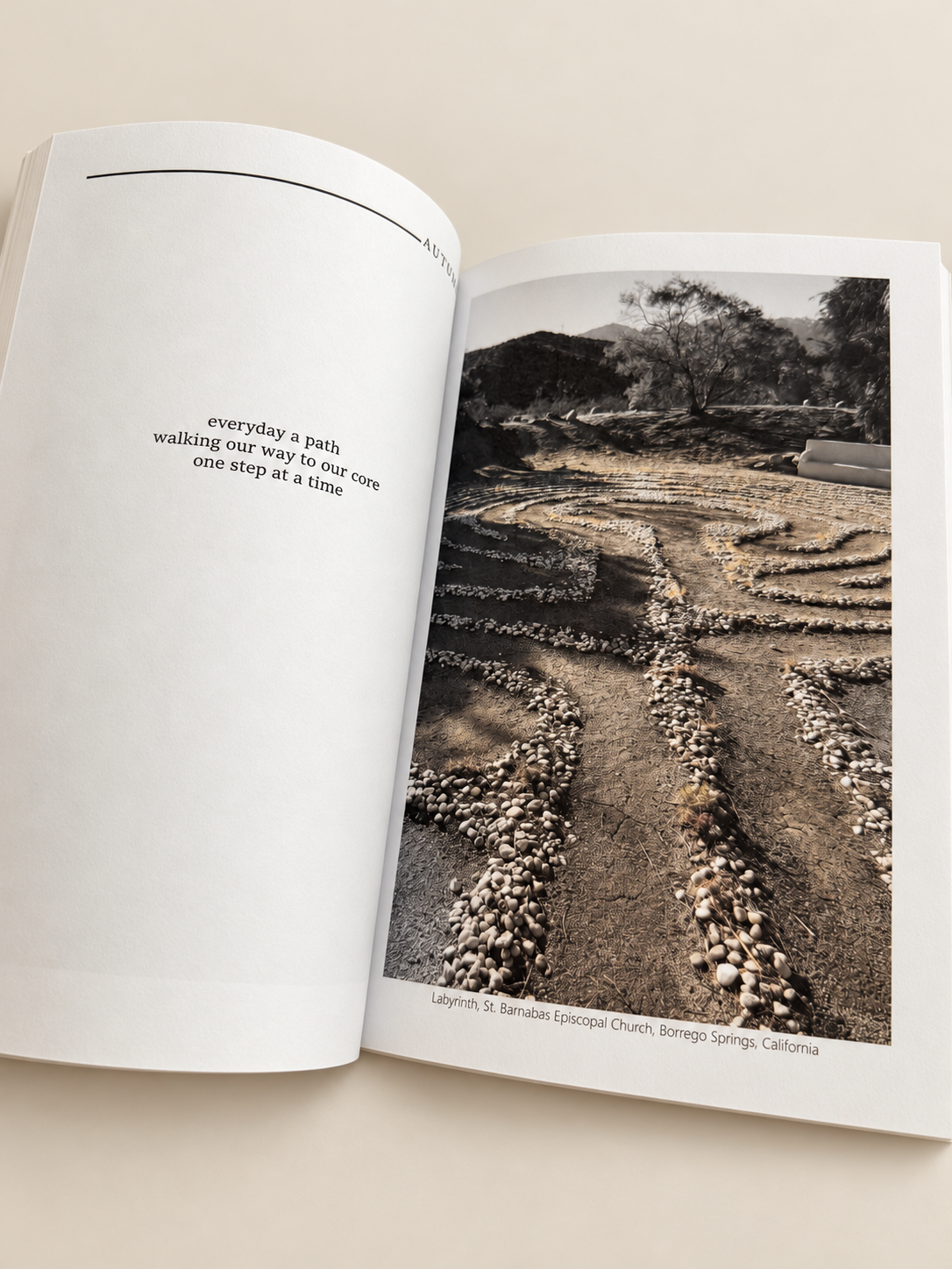 gratitude-haiku-open-book.png
