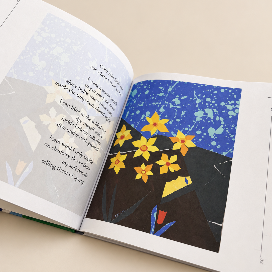beyond-birds-and-answers-open-book-artwork.png