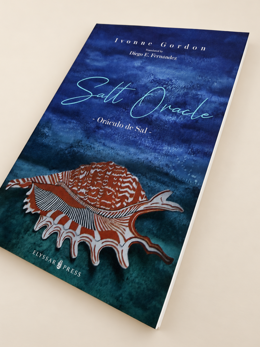 salt-oracle-book-cover-mockup.png
