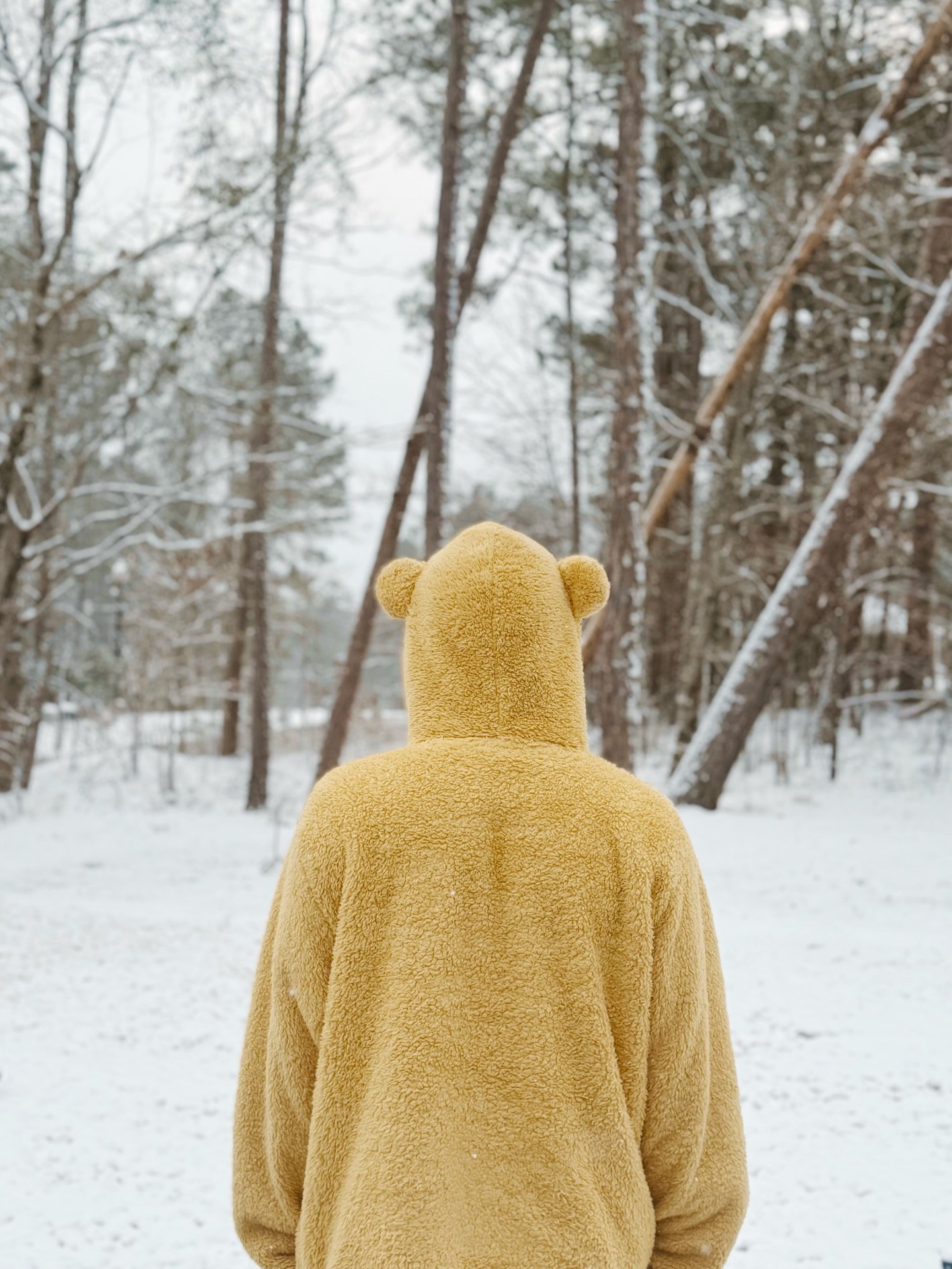 Snowfall: nature&rsquo;s perfect filter ❄️