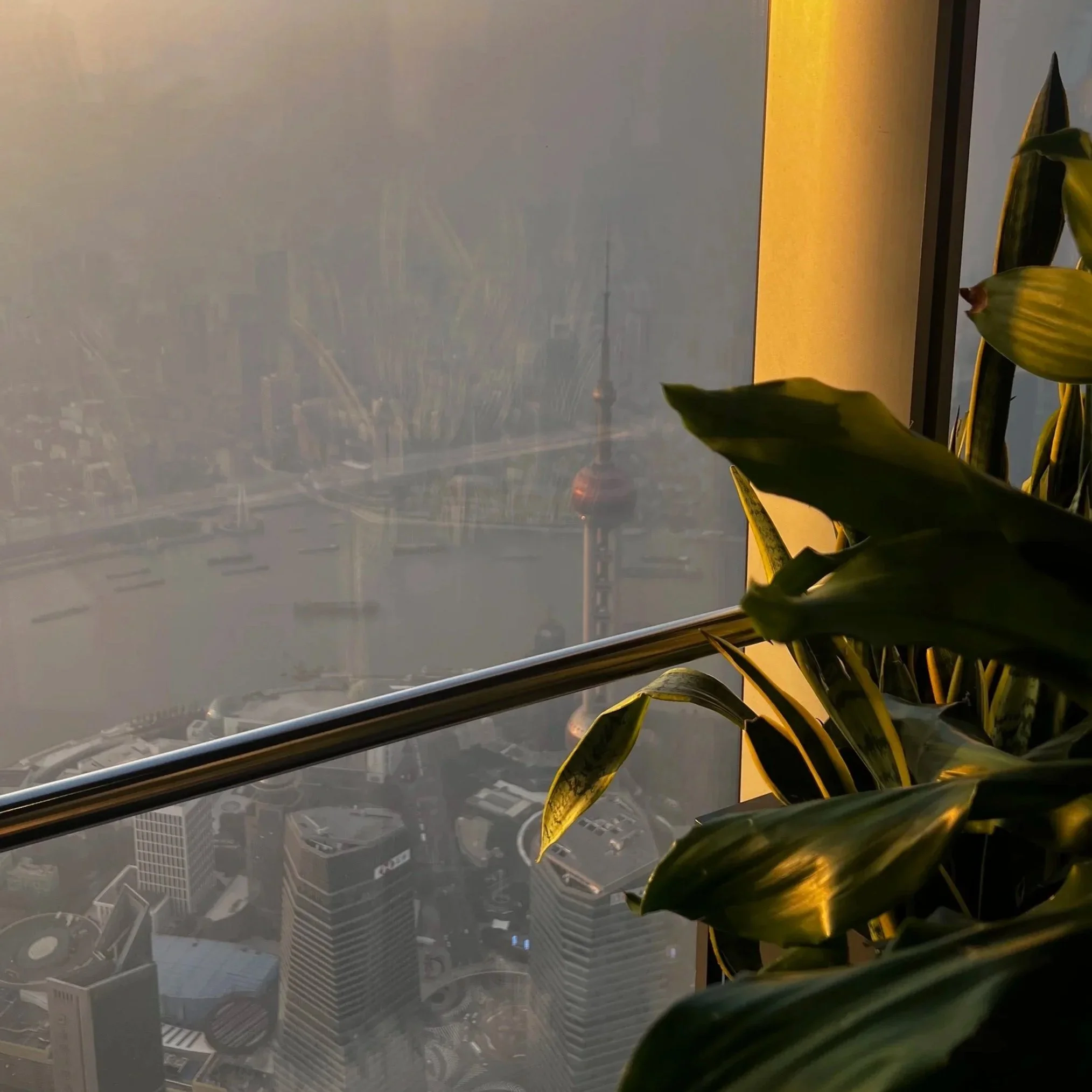 View through a window showing a city skyline with tall buildings and a prominent tower in the distance, partially obscured by haze. Green plant leaves are in the foreground.