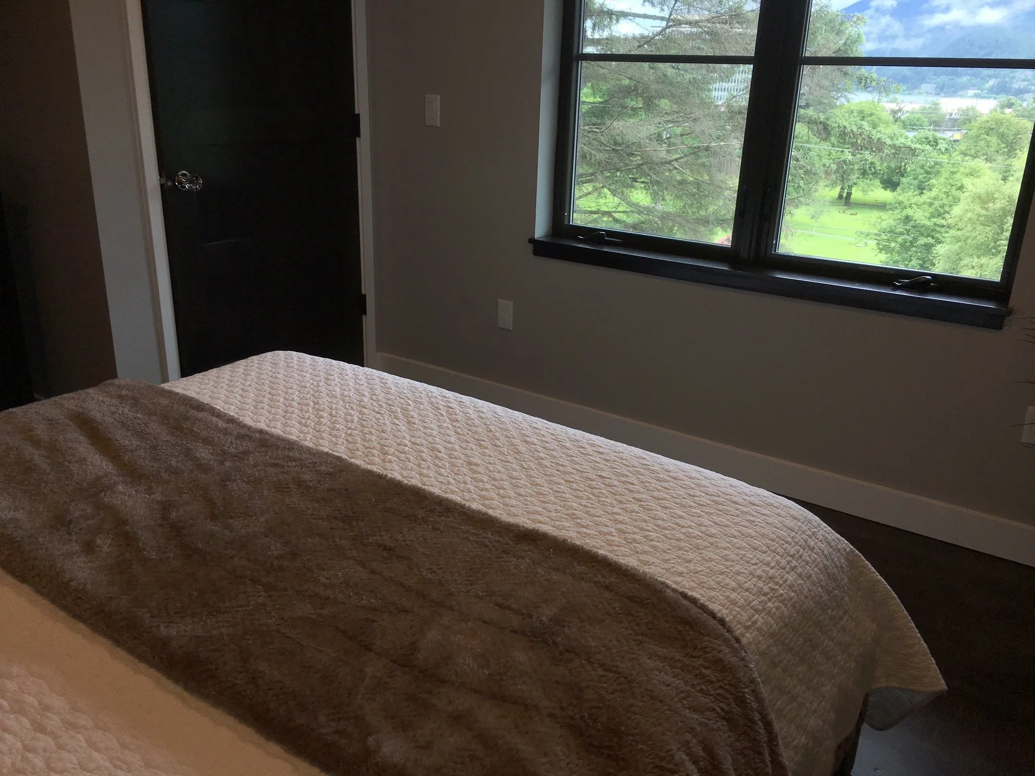 A bedroom with a bed covered in a beige quilt, a large window showing green trees and a distant view of buildings and mountains, and a closed dark-colored door.