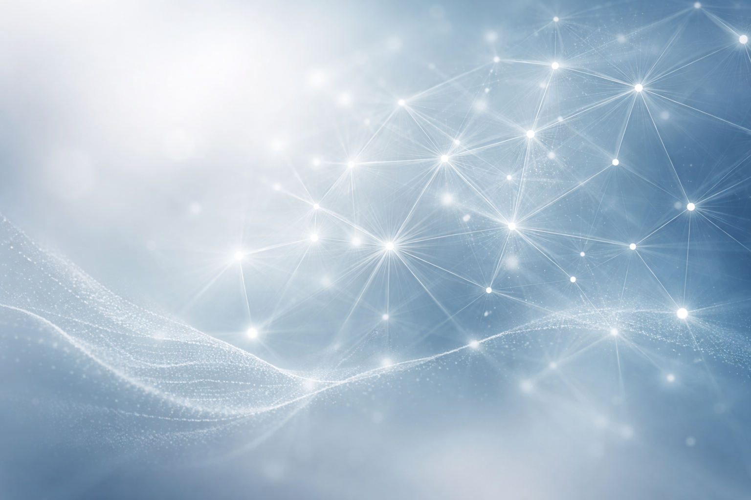 Neural network connections