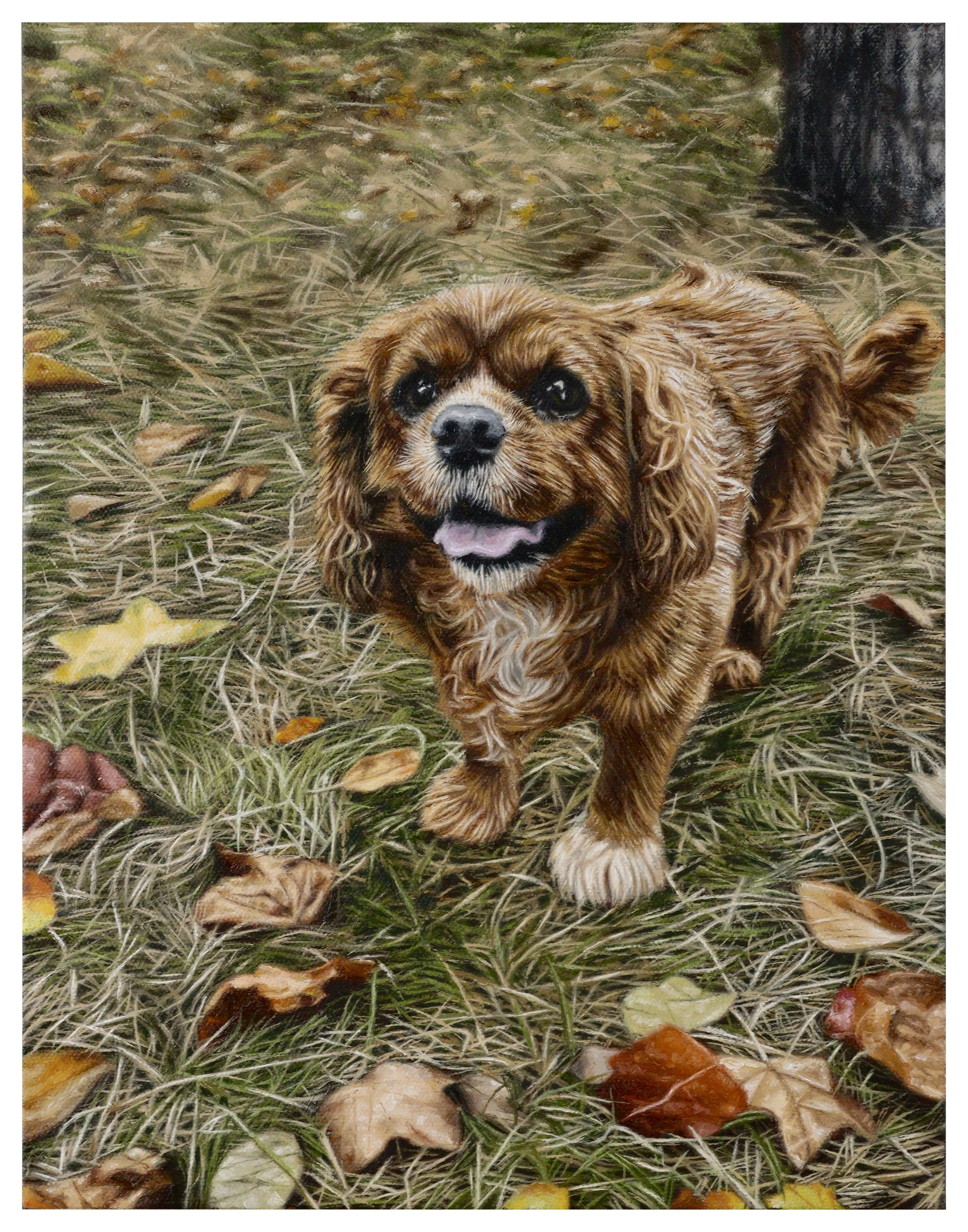 Little Dog.jpg