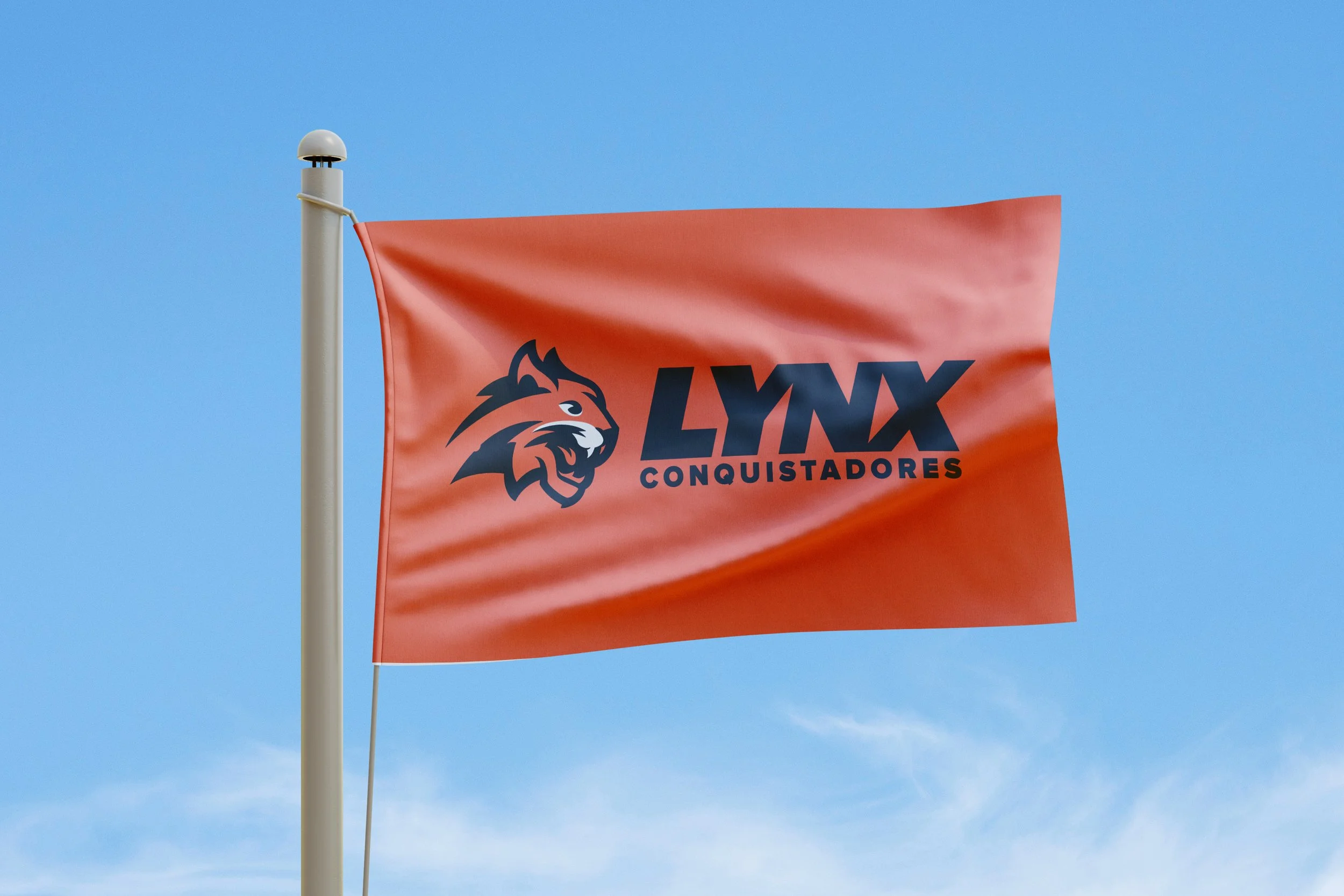 flag.jpg