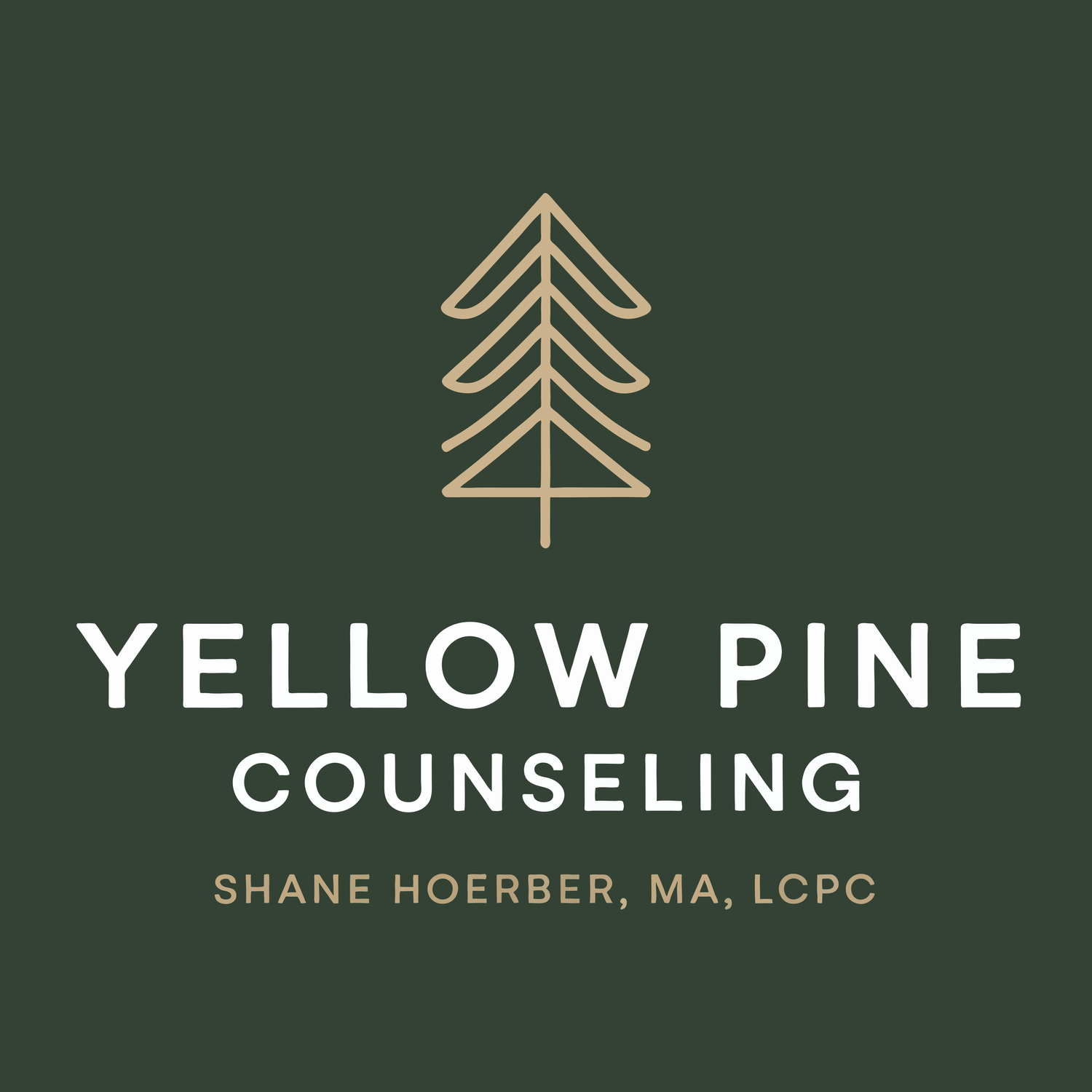 Shane Hoerber, MA, LCPC