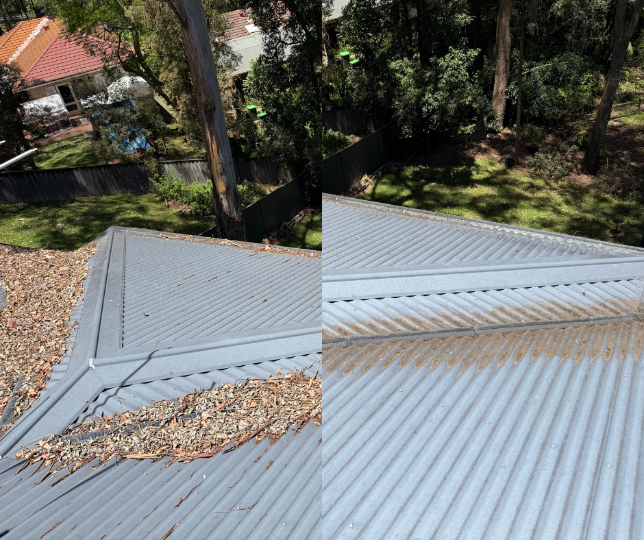View of roof with leaves and debris accumulated along the edges and central seam, surrounded by trees and neighboring houses.