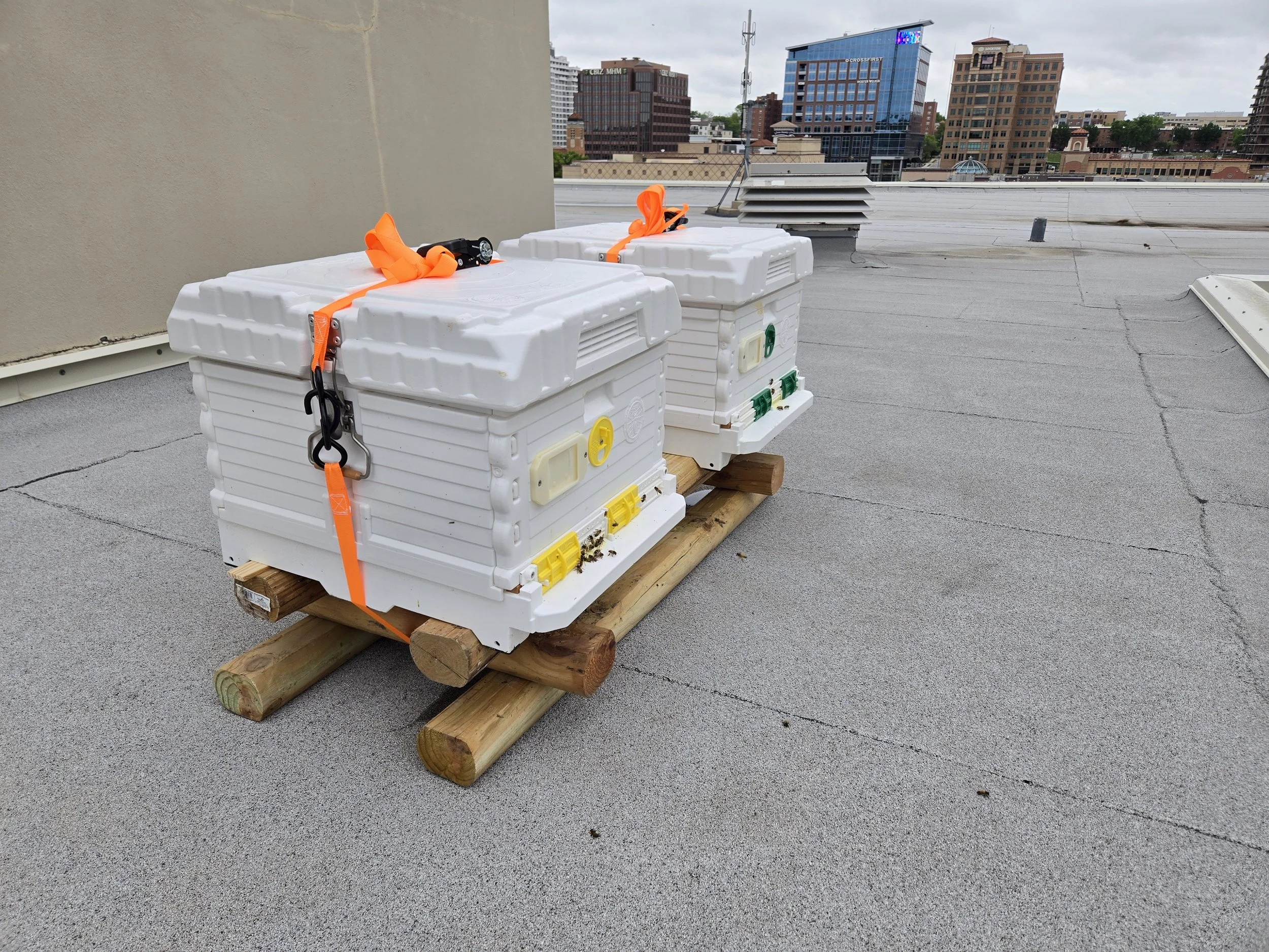 Two white beehives with yellow and green entryways on a wooden platform on a rooftop, with city buildings and cloudy sky in the background.