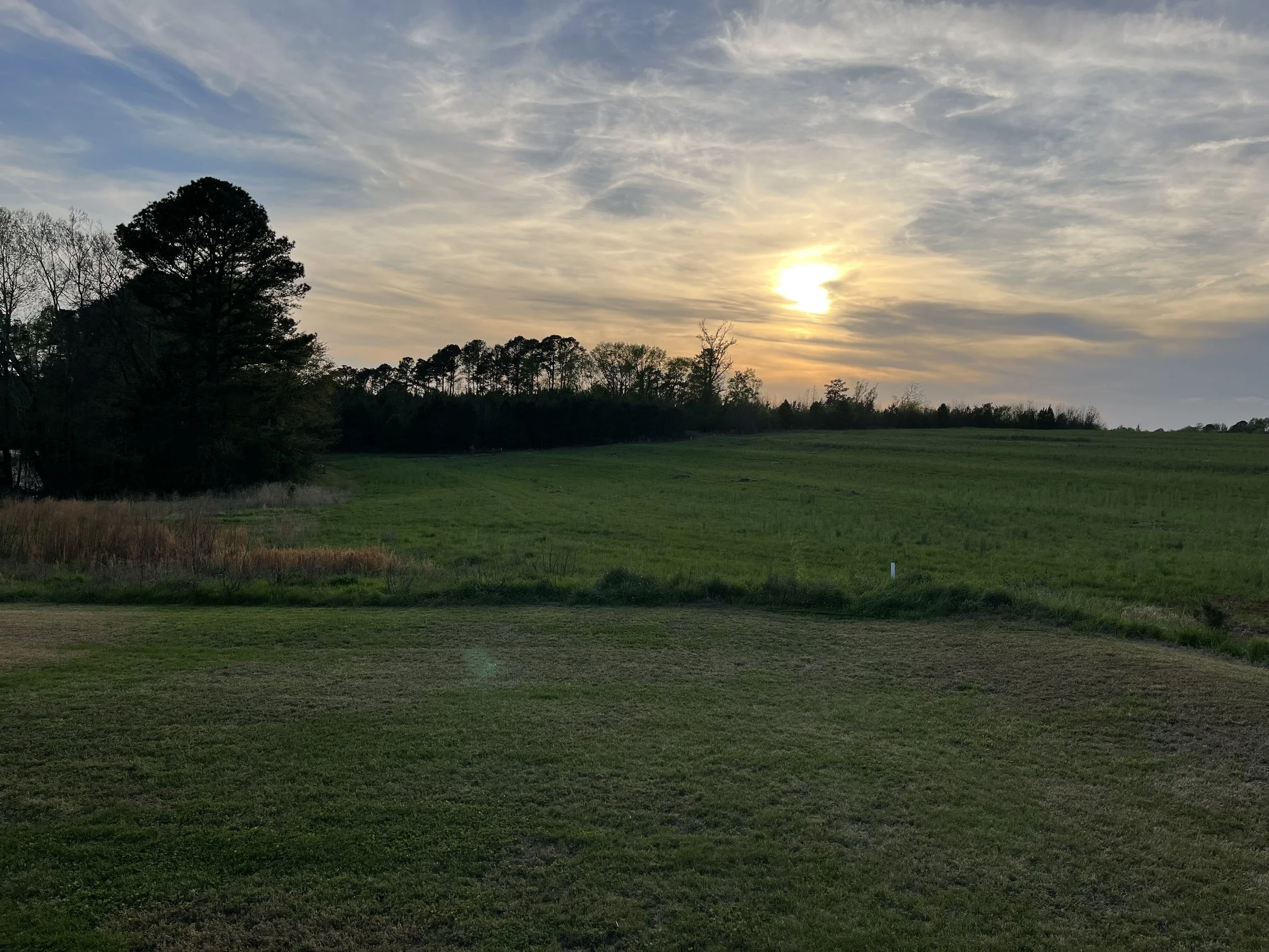 A landscape scene at sunset with a wide green field, trees in the background, and a sky filled with clouds and the setting sun.