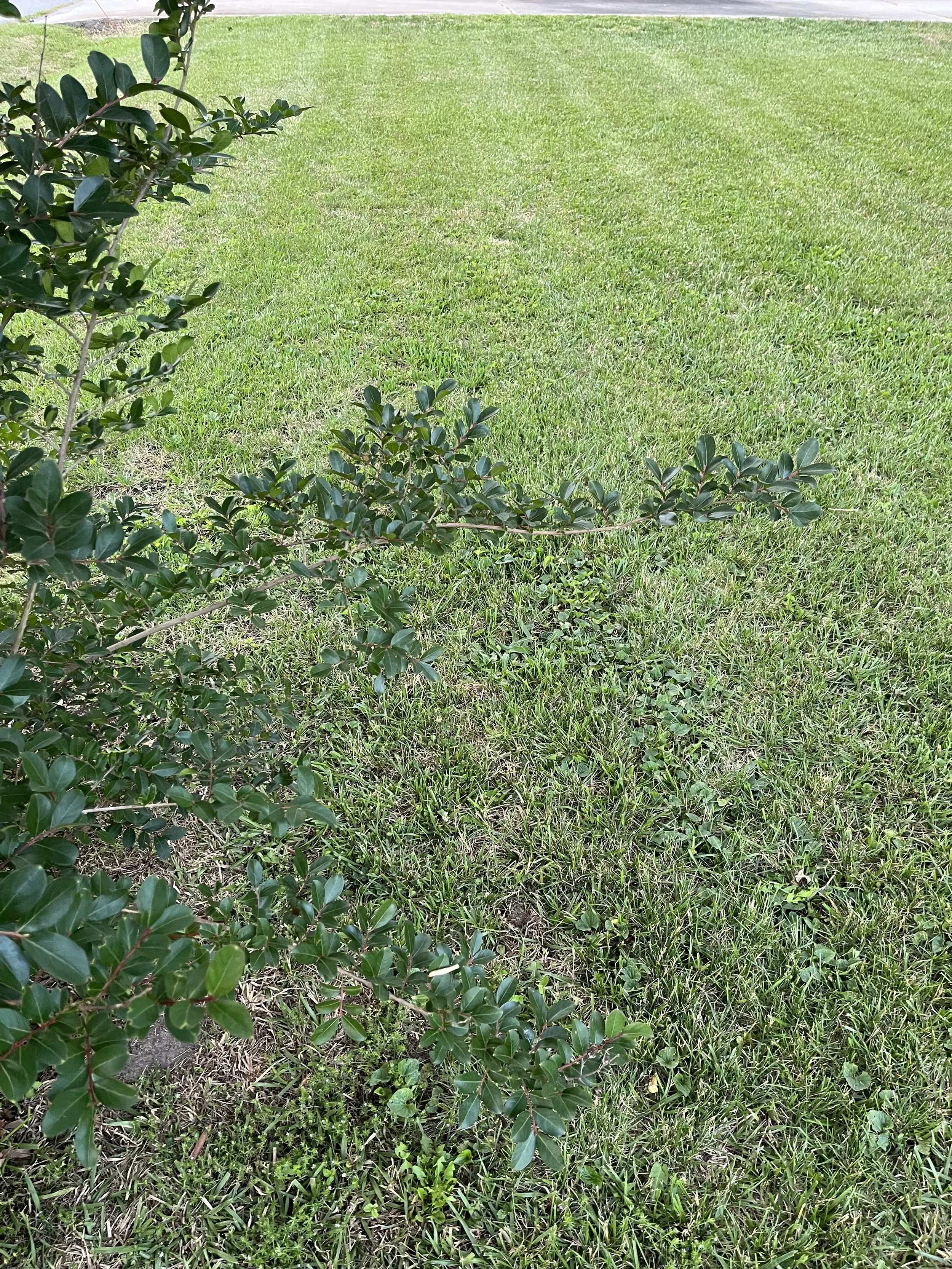 IMG_5627.jpeg