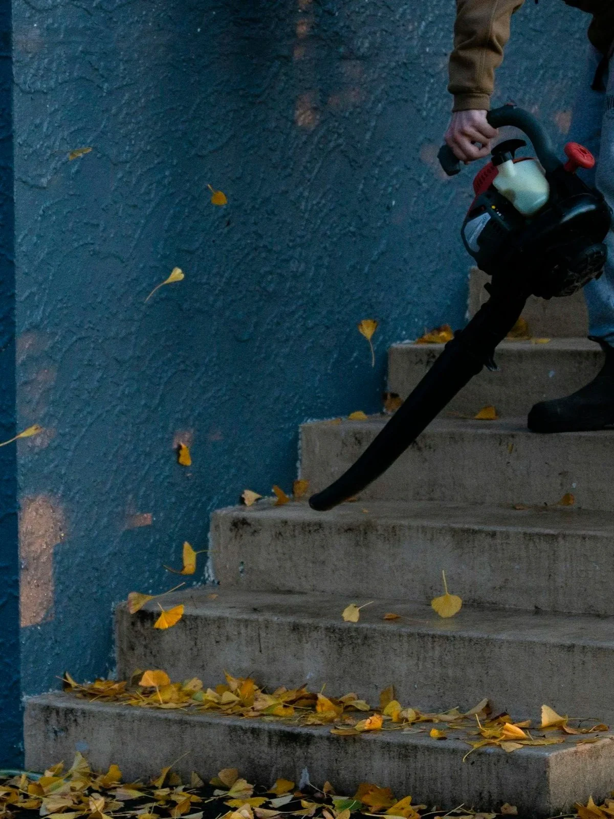 Person holding a leaf blower on outdoor concrete steps with fallen yellow leaves.