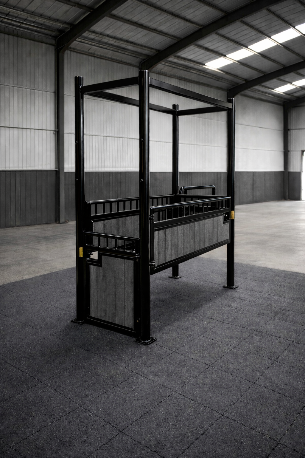 Brete de examinacion