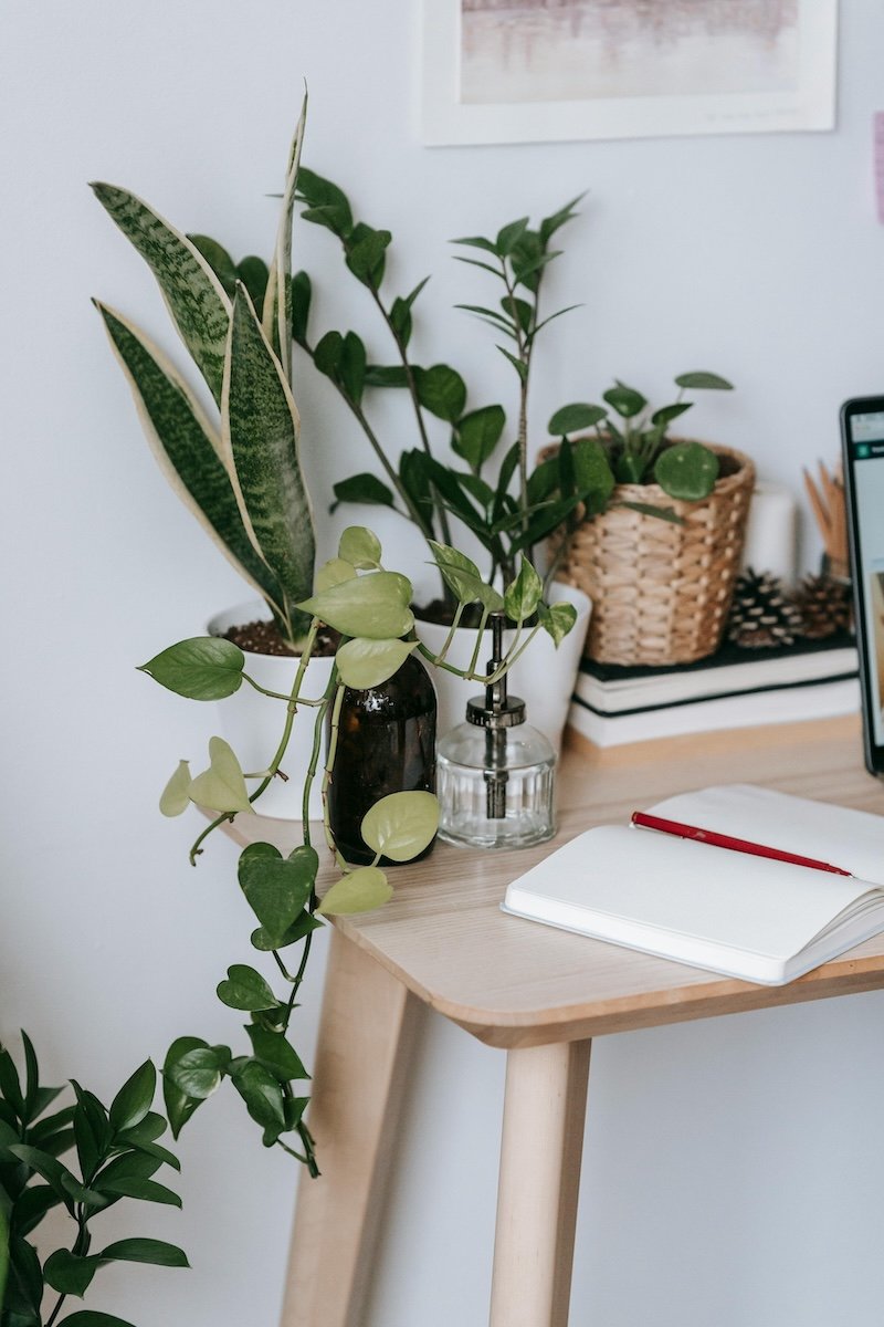 Natural wooden desk at The Healing Meadow Naturopathy in Wellard WA, reflecting a calm clinic setting for women’s health and QEST4 bioenergetic testing.