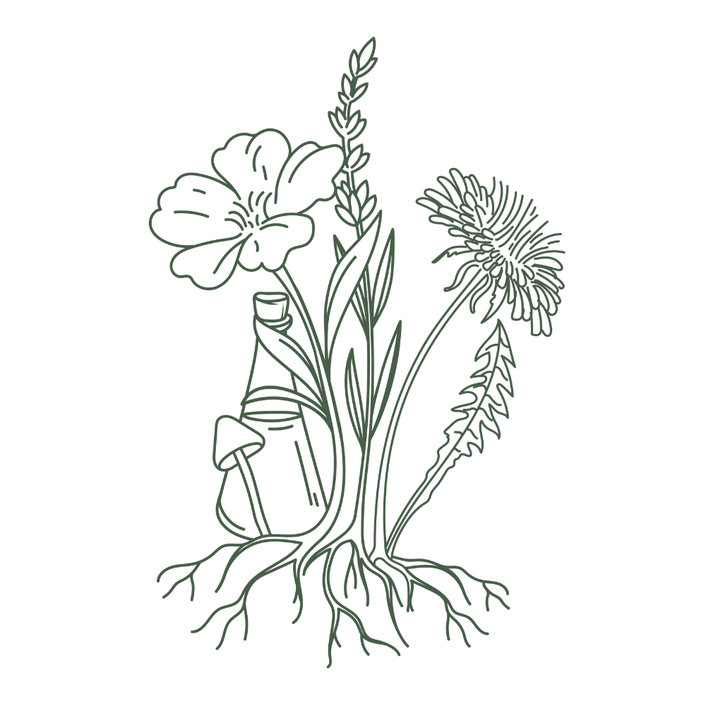 Botanical illustration representing herbal medicine and root cause healing at The Healing Meadow Naturopathy, a women's naturopath clinic in Wellard WA.