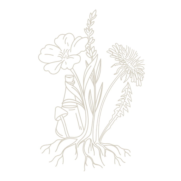 Rooted wildflower illustration representing deep healing and whole-person care at The Healing Meadow Naturopathy, Wellard WA.