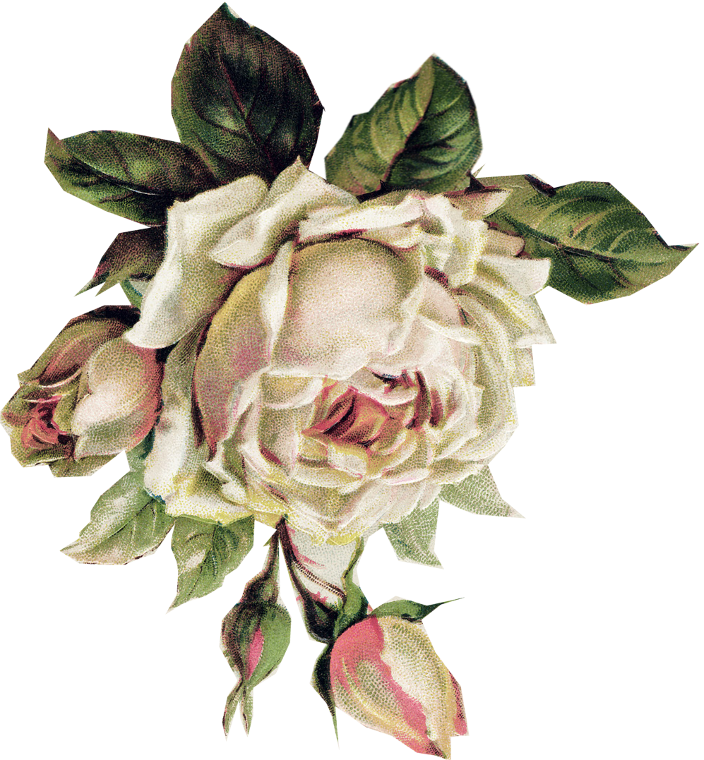A painting of a large, white peony flower with pink accents, surrounded by green leaves and flower buds.